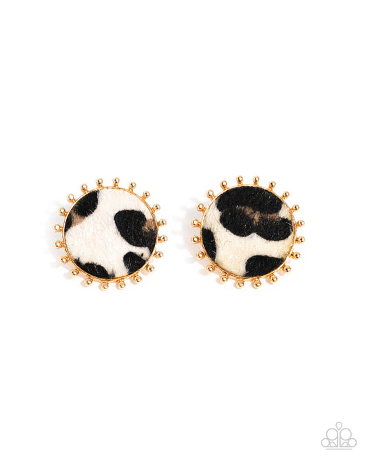 Cowhide Couture - Brown Multicolored Cow Print Gold Santa Fe Style Earring Paparazzi E2423