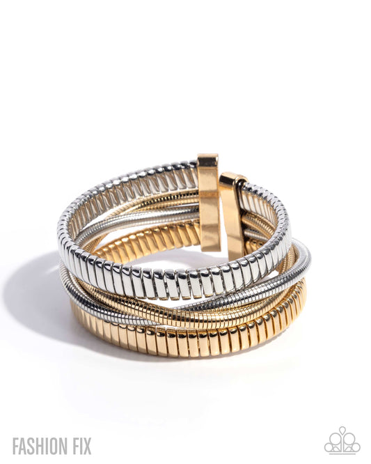 Resolute Recognition - Multi Gold & Silver Omega Chain Cuff Bracelet Magnificent Musings Fashion Fix June 2025 Paparazzi B2250