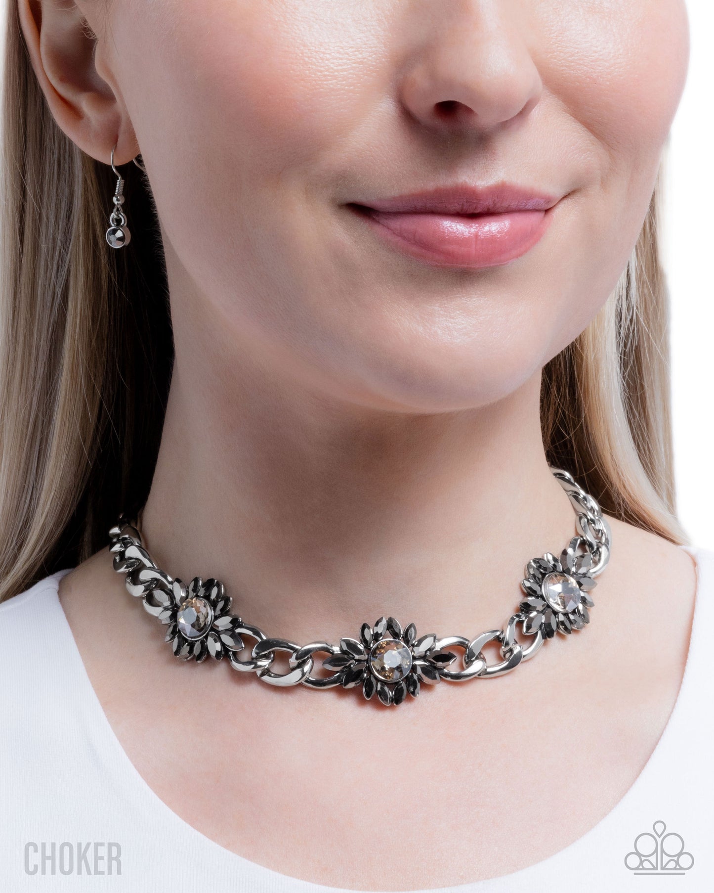 Industrial Intro - Silver Hematite Smoky Gem Choker Necklace Paparazzi N3645