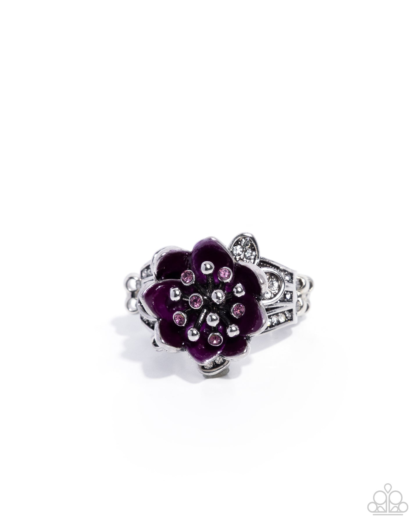 Annual Bloom - Purple
