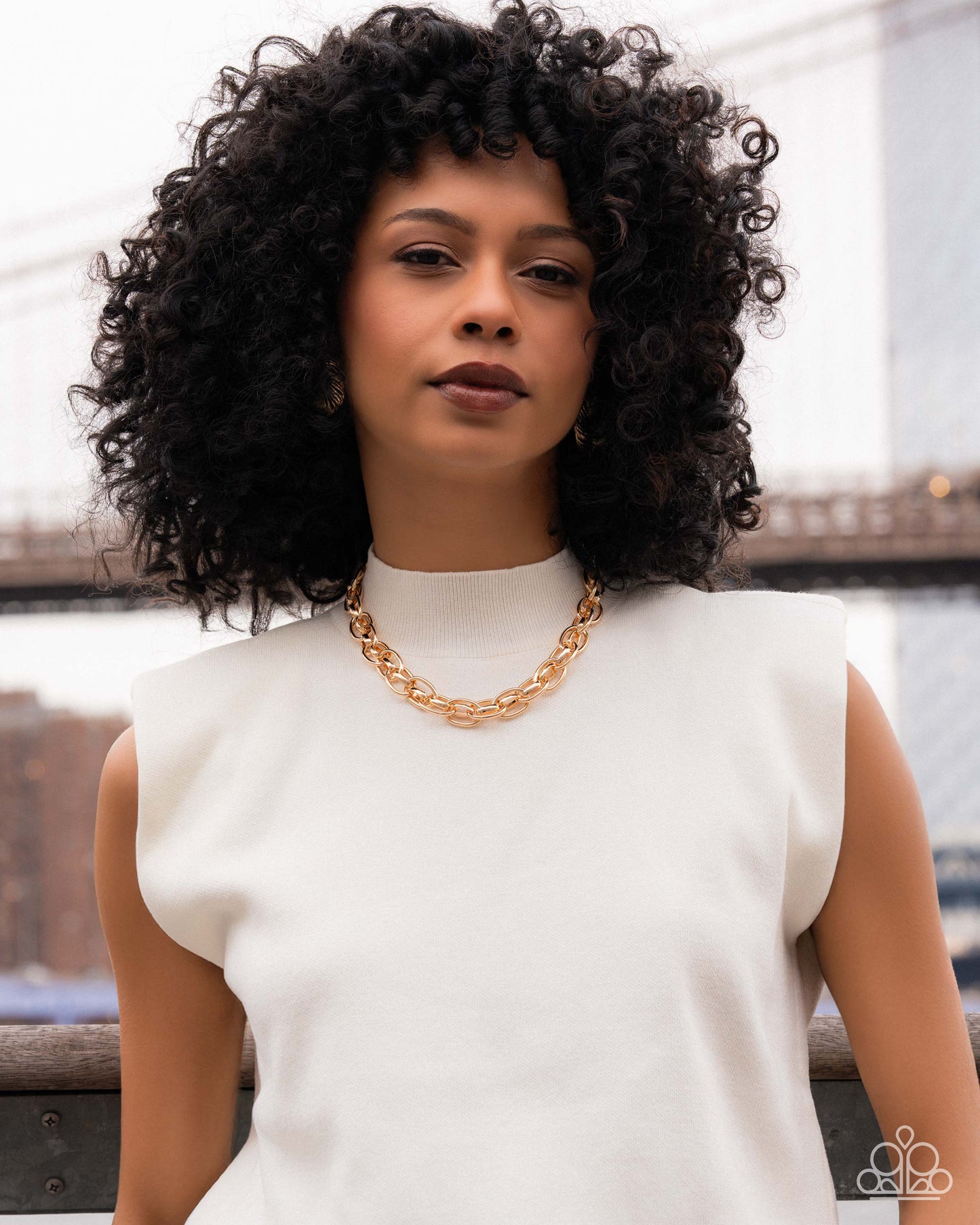 Paparazzi Kept in Confidence - Gold Link High Sheen Necklace