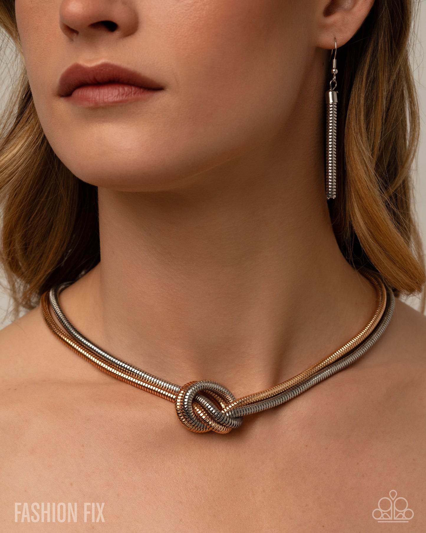 Paparazzi Industrial Chic - Multi Gold & Silver Snake Chain Necklace Magnificent Musings Fashion Fix April 2026