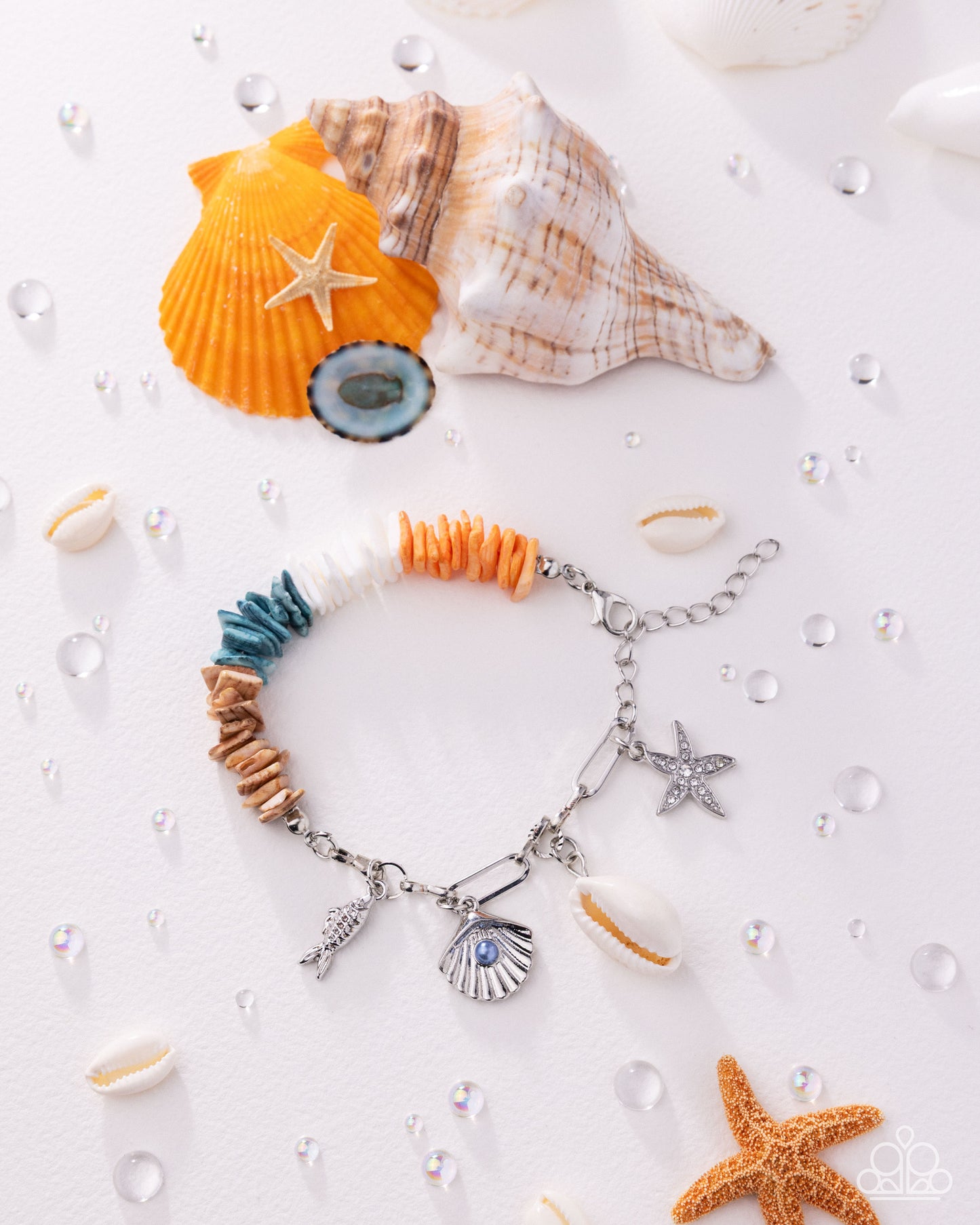 Seaside Shells - Multi