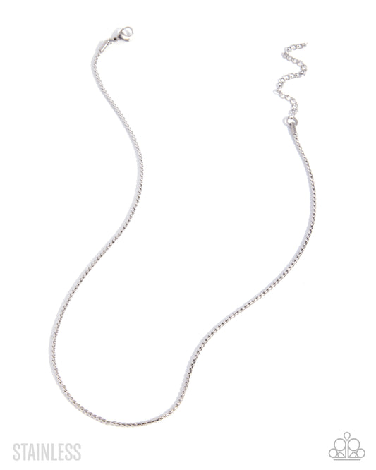 Paparazzi Sassy Splendor - Silver Stainless Steel Abstract Chain Necklace N4087