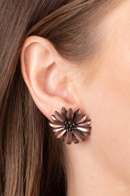 Daisy Dilemma - Copper Rustic Floral Post Earring Paparazzi E0955