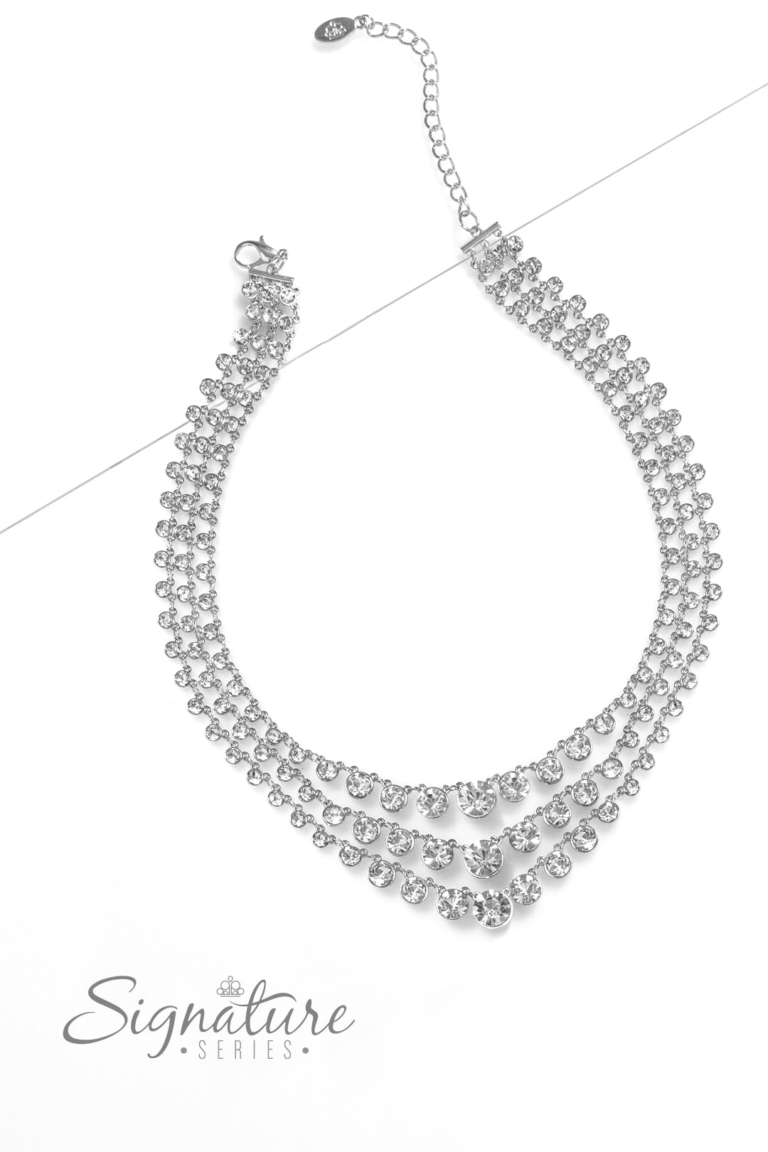 The Dana Zi Collection Necklace 2023 Paparazzi