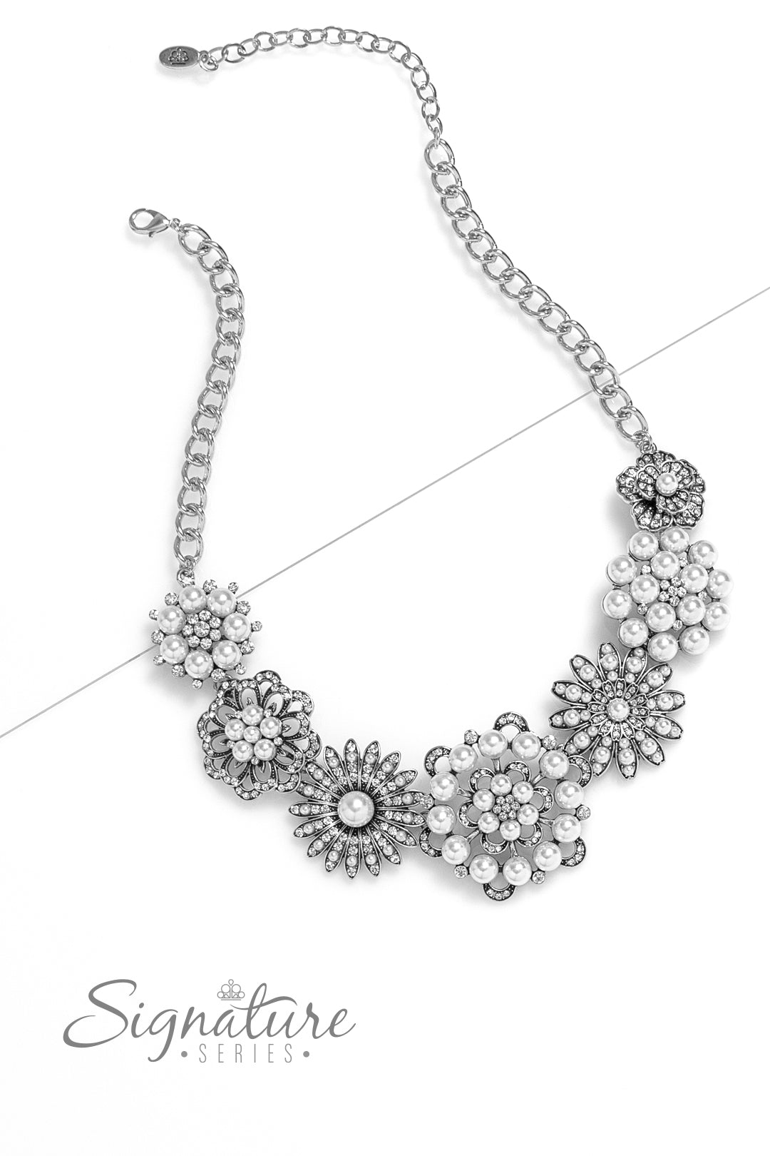 The Raven Zi Collection Necklace 2023 Paparazzi